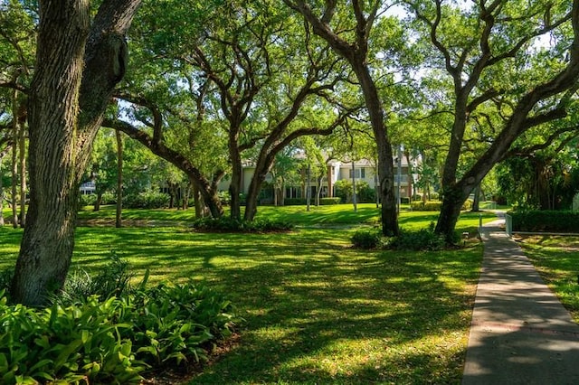 view of home's community with a yard