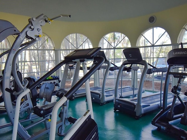 gym with a wealth of natural light