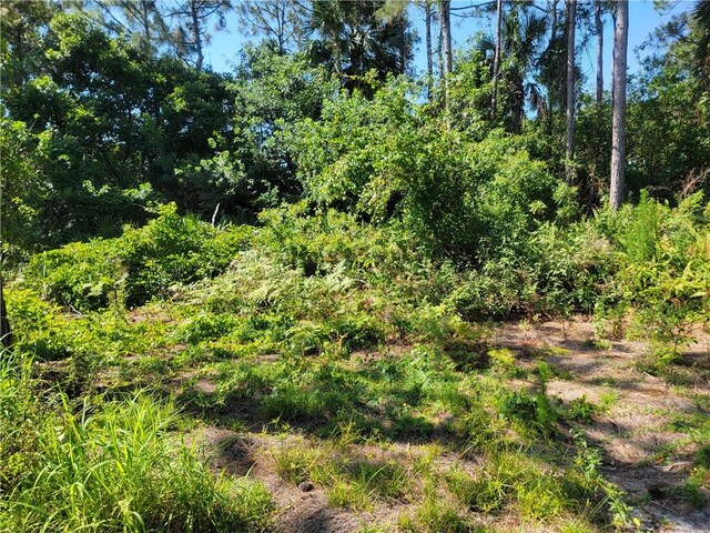 4295 55th St, Vero Beach, FL 32967 - view of local wilderness
