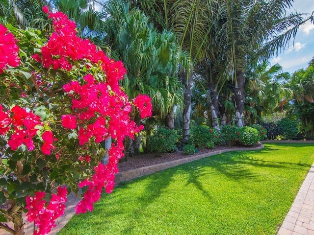 4335 65th Dr, Vero Beach, FL 32967 - view of grassy yard
