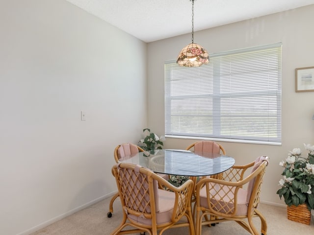 carpeted dining area with plenty of natural light