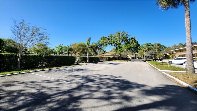 view of street with curbs