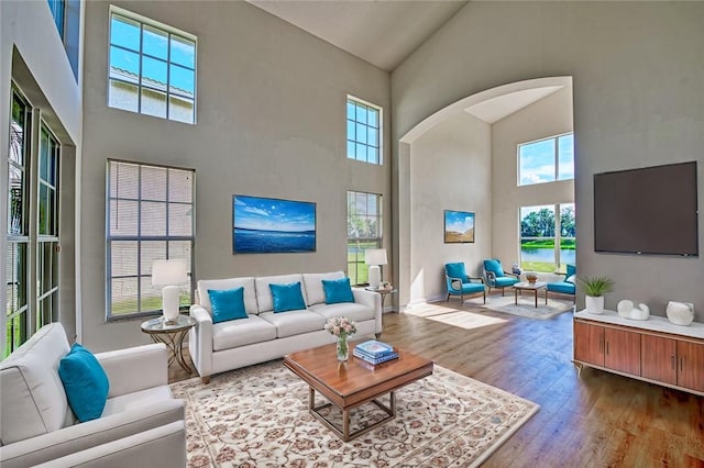 living room featuring wood-type flooring, plenty of natural light, and a high ceiling