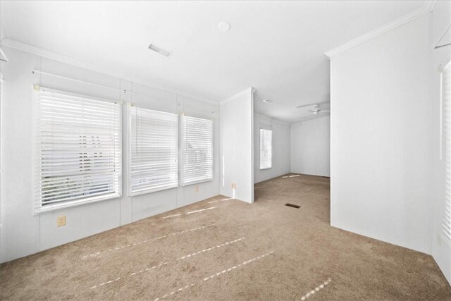 641 Hyacinth Cir, Barefoot Bay, FL 32976 - interior space featuring carpet, visible vents, a ceiling fan, and ornamental molding