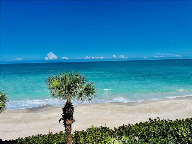 property view of water featuring a beach view