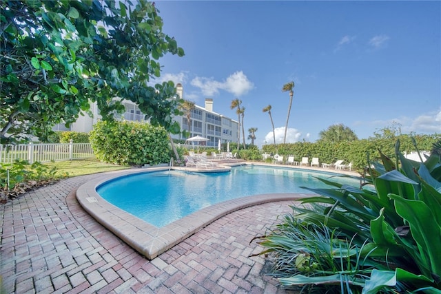 view of pool with a patio area