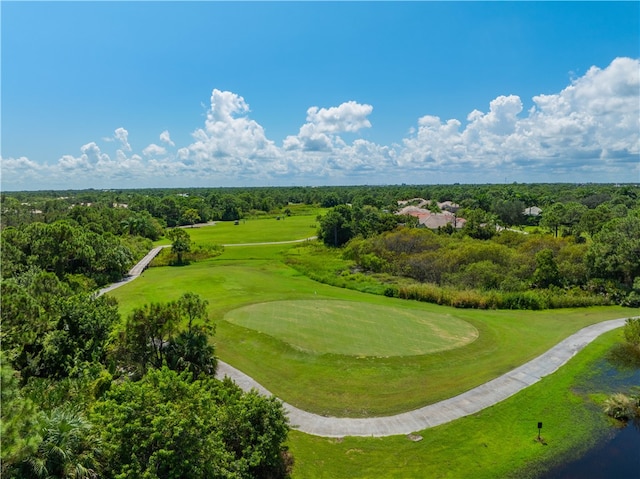 view of property's community with a yard