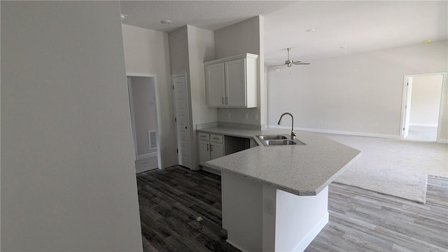 kitchen with a sink, a peninsula, wood finished floors, and ceiling fan
