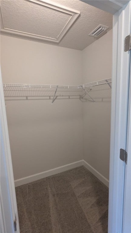 498 Easy St, Sebastian, FL 32958 - spacious closet featuring carpet floors and attic access