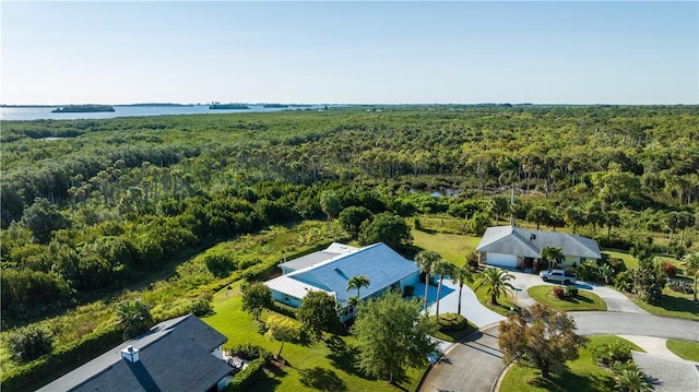 bird's eye view featuring a forest view and a water view