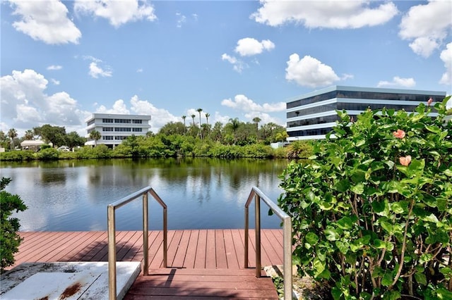 dock area with a water view