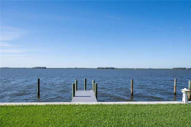 dock area with a water view