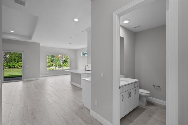 bathroom featuring vanity, hardwood / wood-style flooring, and toilet