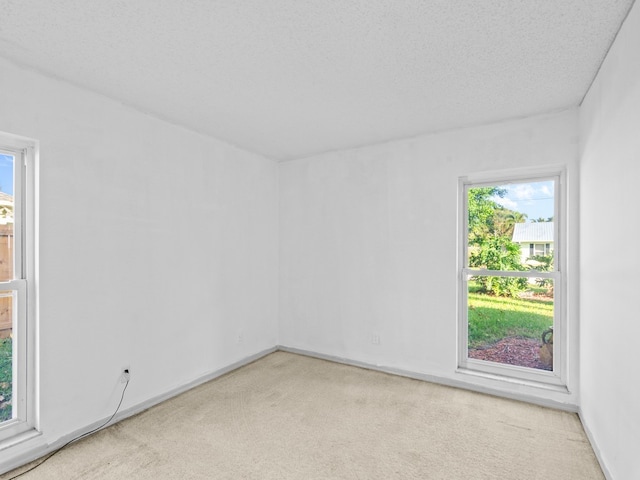 spare room with carpet flooring and a textured ceiling