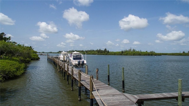 dock area with a water view