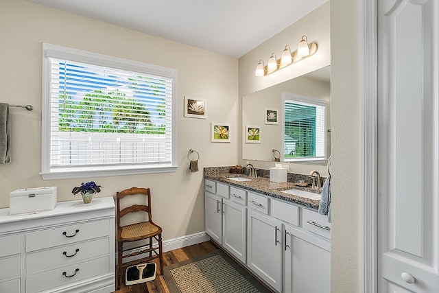 bathroom featuring hardwood / wood-style flooring and vanity