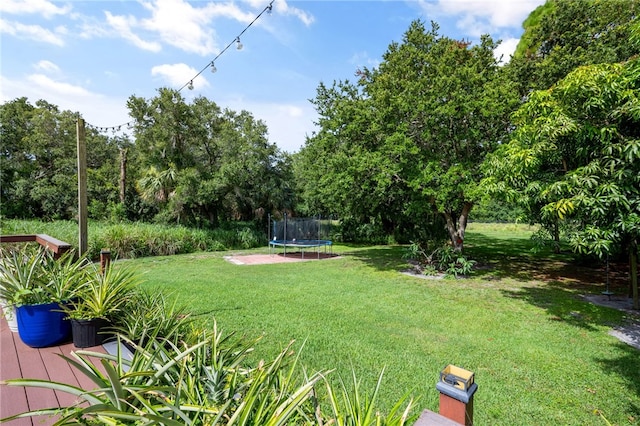 1655 4th Ave SW, Vero Beach, FL 32962 - photo 27