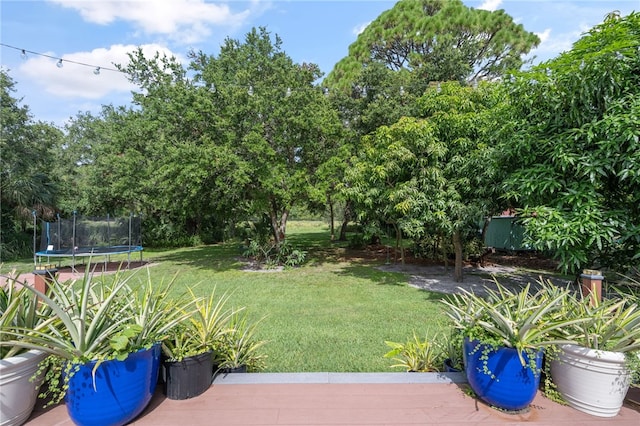 1655 4th Ave SW, Vero Beach, FL 32962 - photo 26