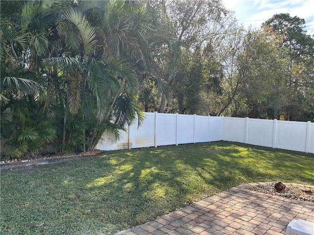 view of yard featuring a patio