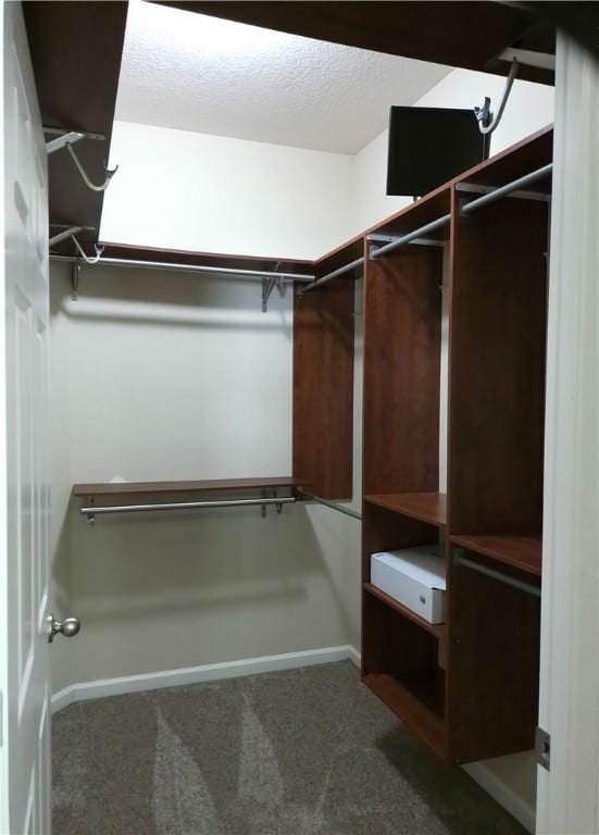 spacious closet featuring carpet