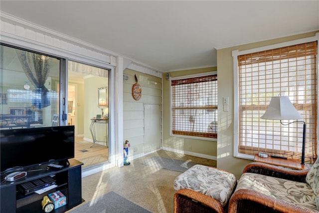 sitting room with ornamental molding and a wealth of natural light