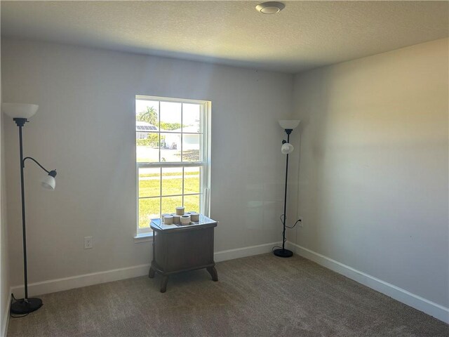 spare room with a textured ceiling, dark carpet, plenty of natural light, and lofted ceiling