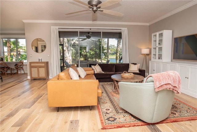 500 45th Ct SW, Vero Beach, FL 32968 - living room with a ceiling fan, crown molding, healthy amount of natural light, and light wood-style floors