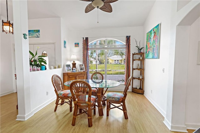 dining room with light hardwood / wood-style floors and ceiling fan