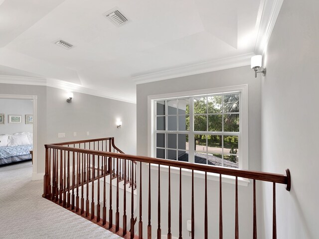 hallway with carpet flooring, a raised ceiling, and crown molding