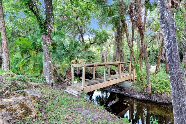 dock area with a water view