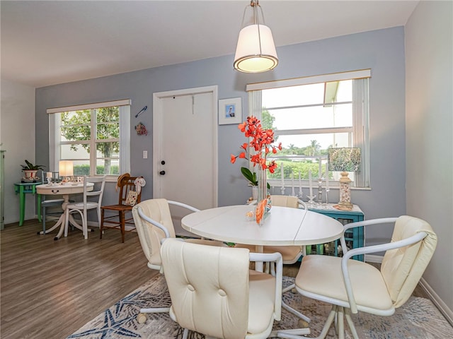 dining area with hardwood / wood-style flooring