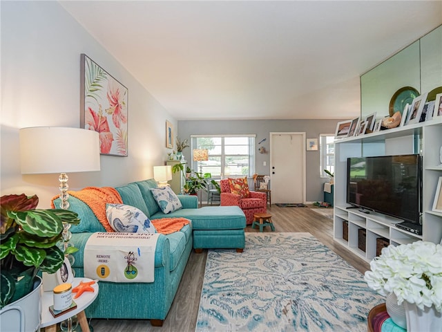 living room with hardwood / wood-style flooring