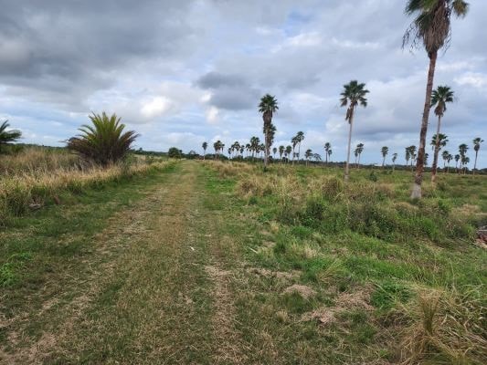 0 17th St SW, Vero Beach, FL 32968 - photo 3