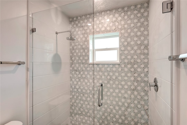 bathroom featuring a shower with shower door