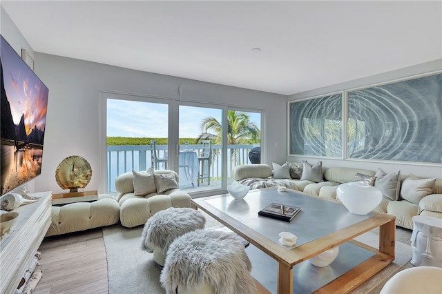 living room with light wood-type flooring and a water view