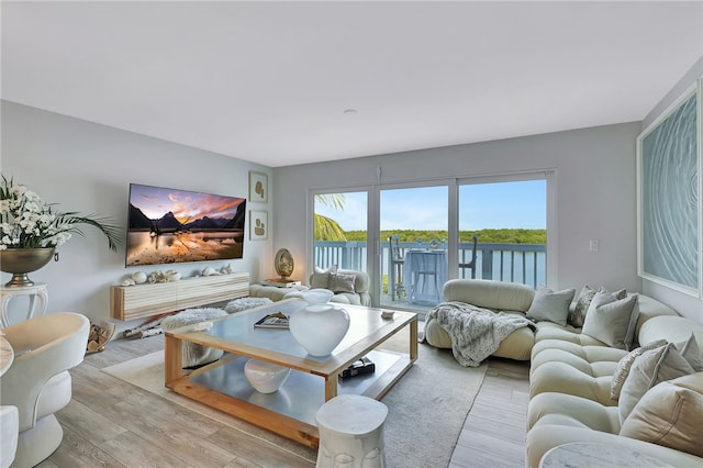 living room featuring light hardwood / wood-style floors