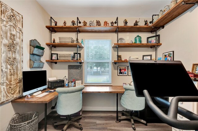 office featuring wood-type flooring