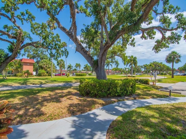 surrounding community with a lawn