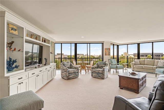 carpeted living room featuring expansive windows