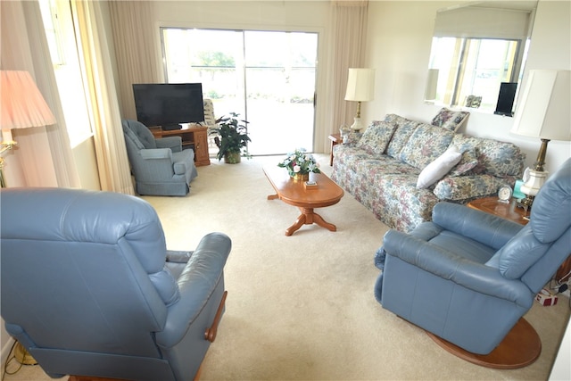 carpeted living room with a wealth of natural light