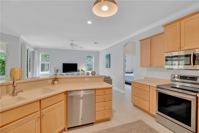 kitchen with light brown cabinetry, appliances with stainless steel finishes, sink, and a healthy amount of sunlight