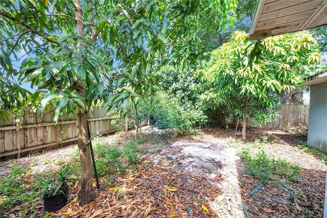 1966 9th St, Vero Beach, FL 32960 - view of yard