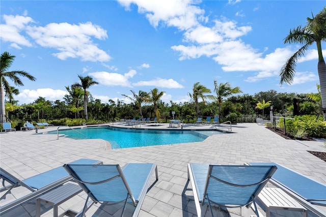 view of swimming pool with a patio area