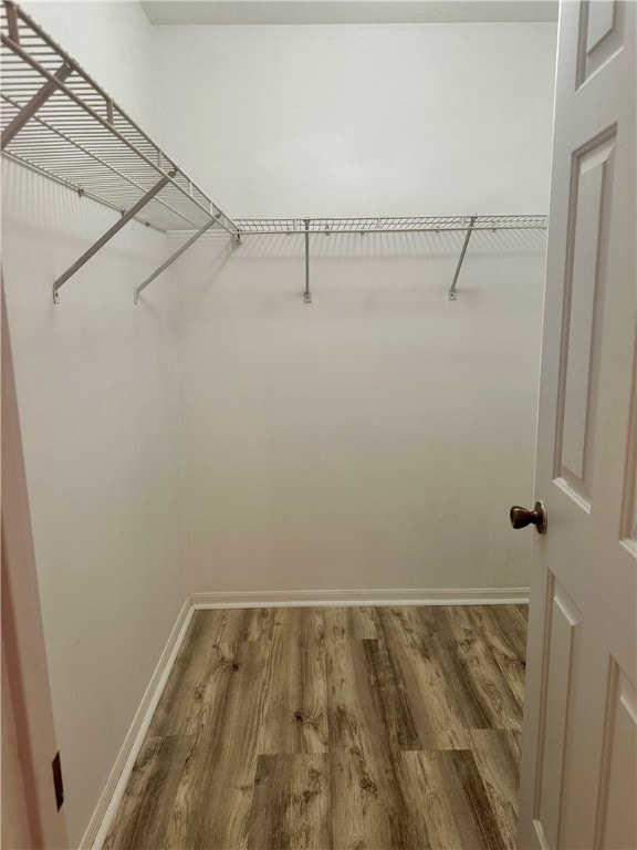 spacious closet featuring hardwood / wood-style flooring