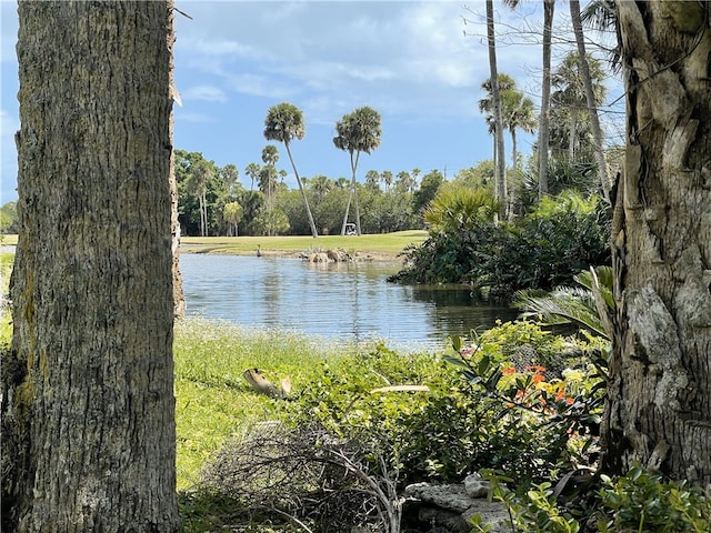 view of water feature