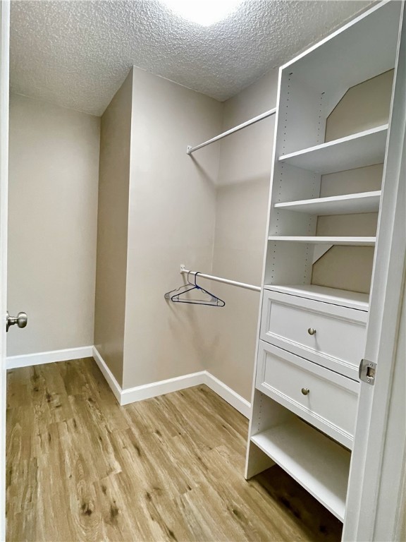 walk in closet featuring light wood finished floors