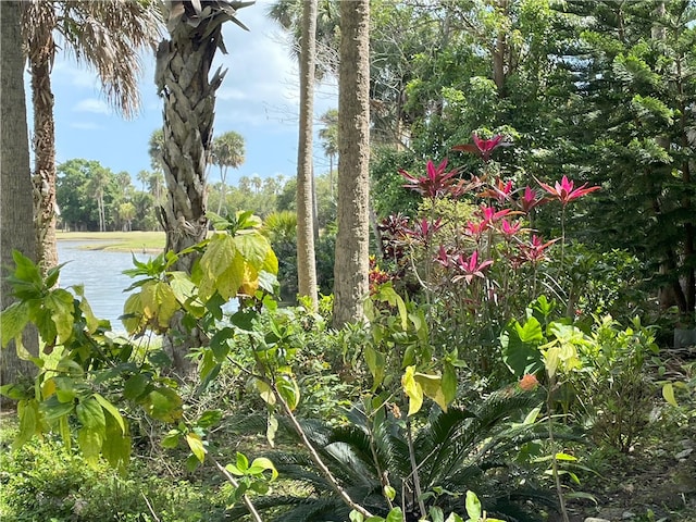 view of nature featuring a water view