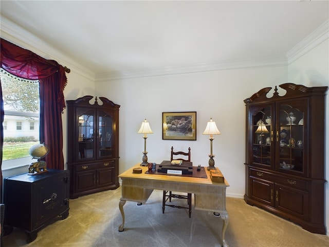 carpeted office with crown molding