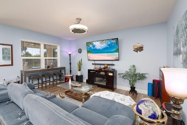 living room with hardwood / wood-style floors