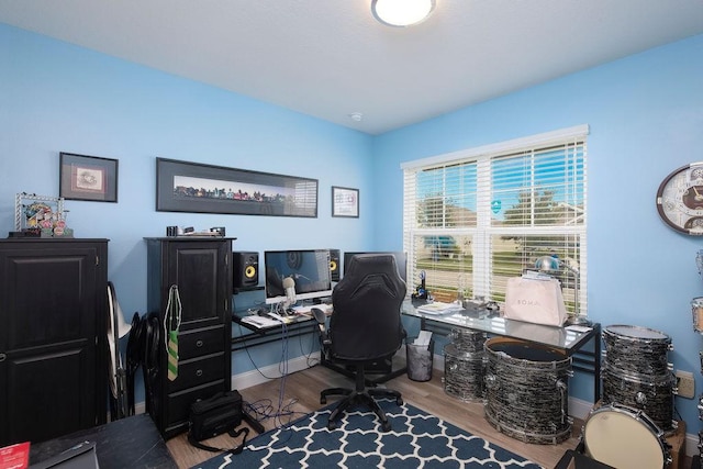 office featuring hardwood / wood-style floors